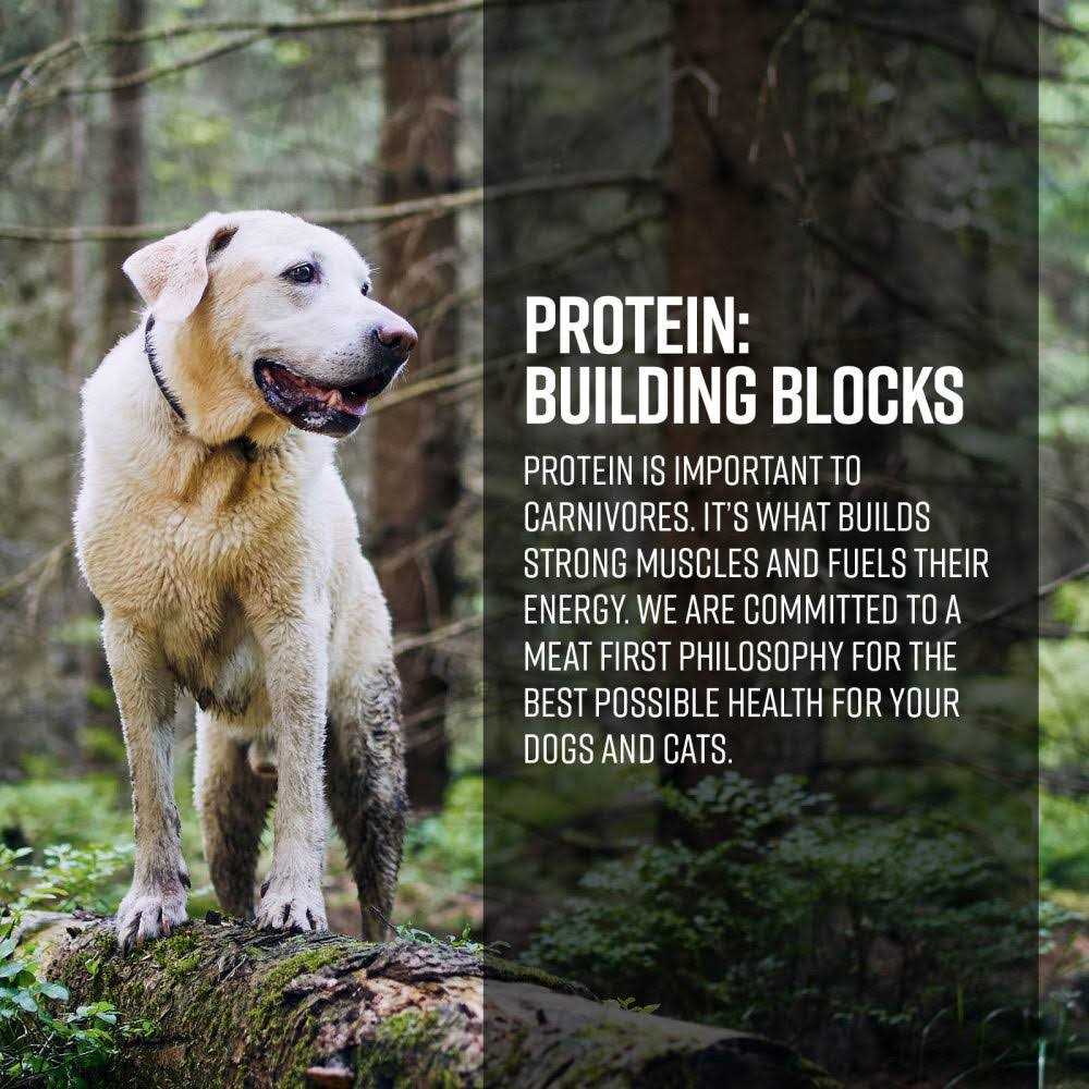 Limited Ingredient Dog Dry Food S1443