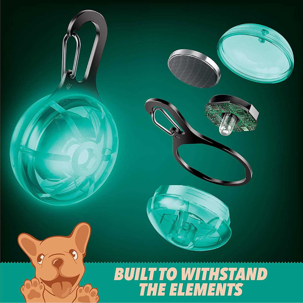 Retractable Dog Leash H79790
