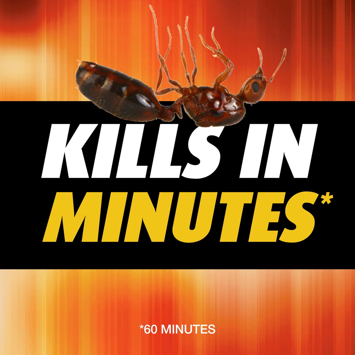 Fire Ant Killer 12 oz U574974