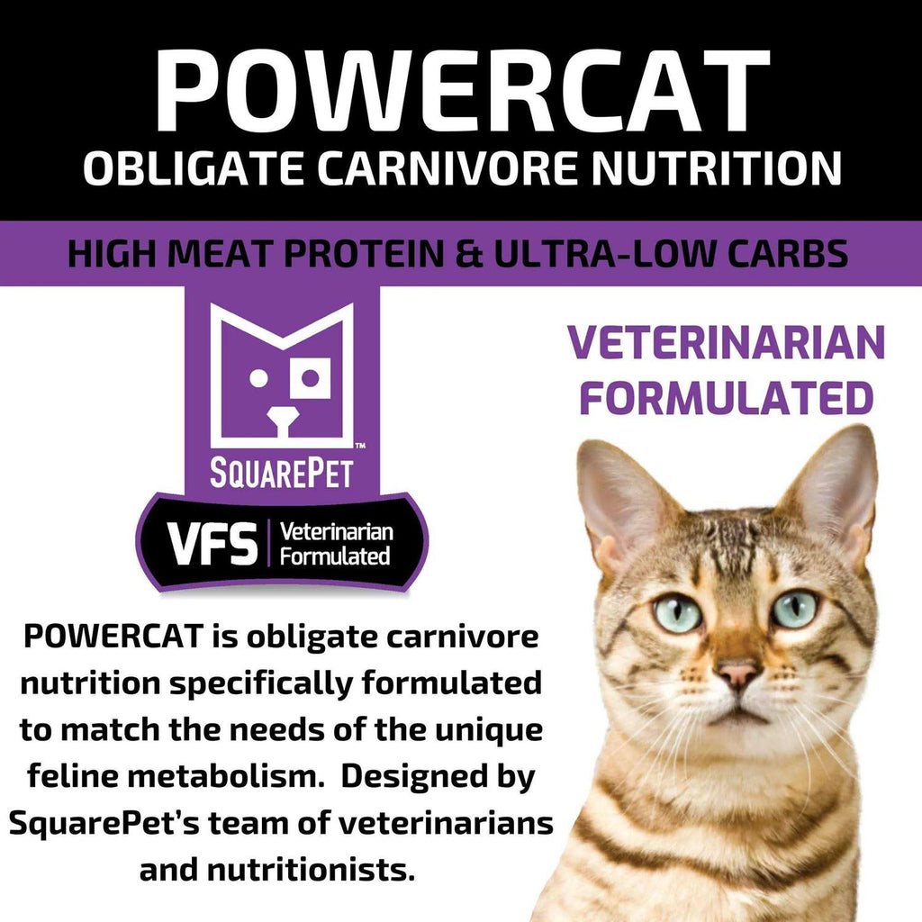 Turkey & Chicken Dry Cat Food A56235