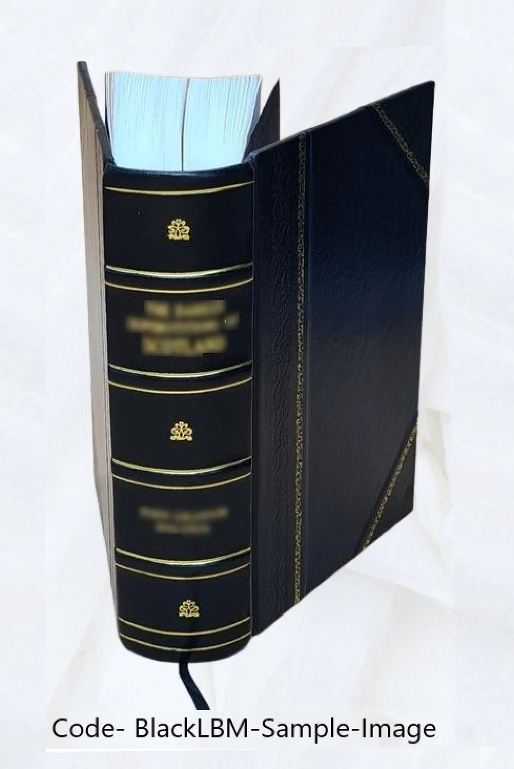 Hamburger Garten-und Blumenzeitung Volume v.20 1864 Leather Bound L3640