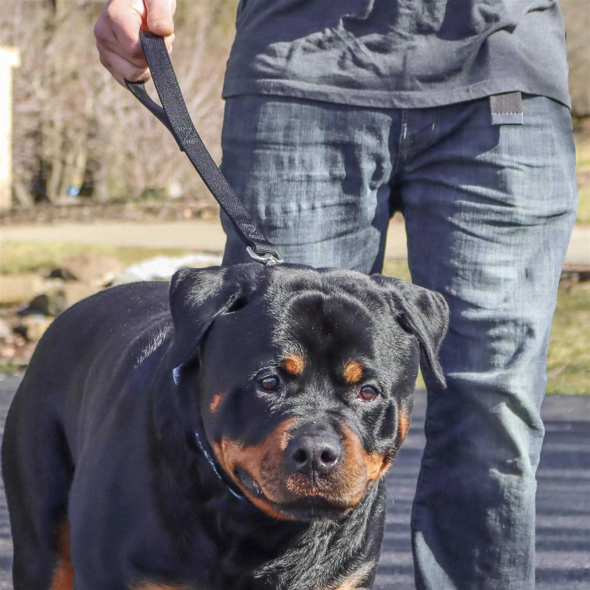 Double-Ply Nylon Traffic Leash M2509