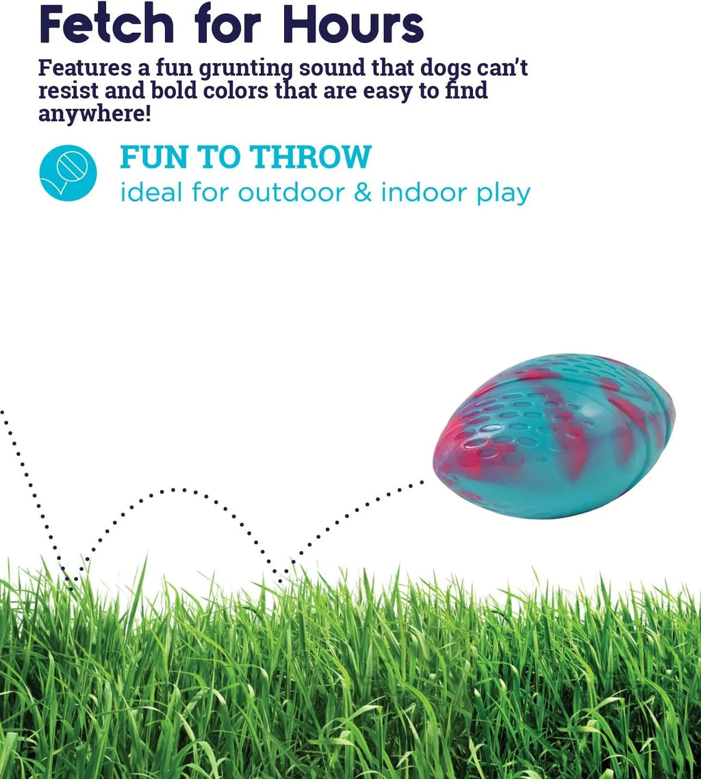 Football Dog Toy K567345