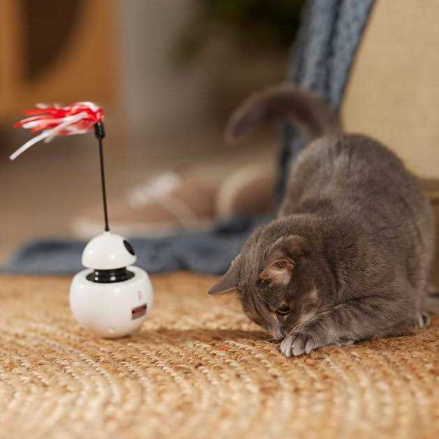 Laser Cat Toy with Sound W826833