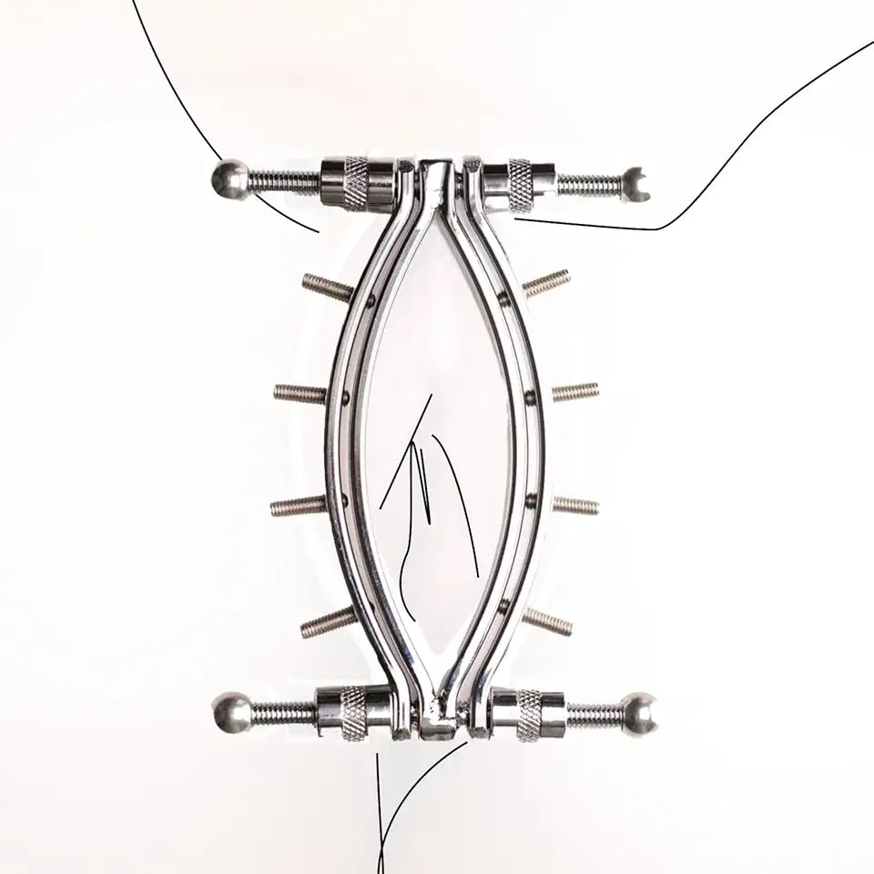 Labia Clamp Lips Pussy Spreader Bondage Kit I29258