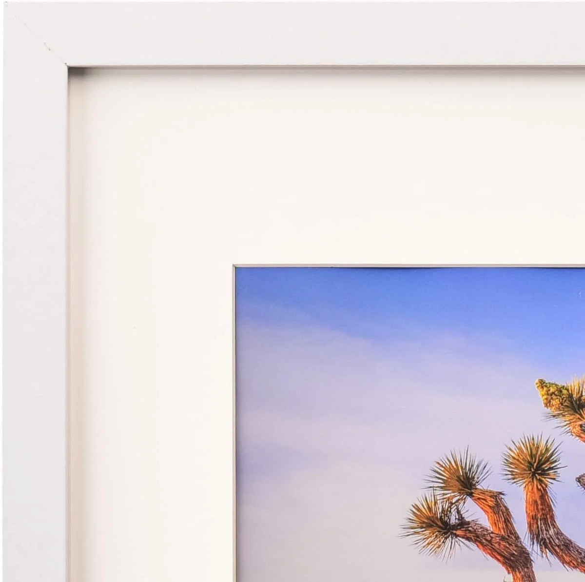 White 16x20 inches Wall Poster Frame Matted to 11x14 inches with Polystyrene Glass – 2 Pack P2312