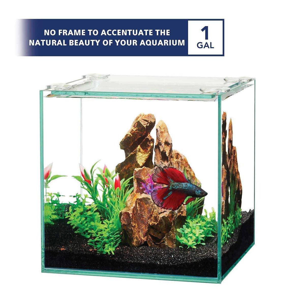 Frameless Cube Aquarium R9814