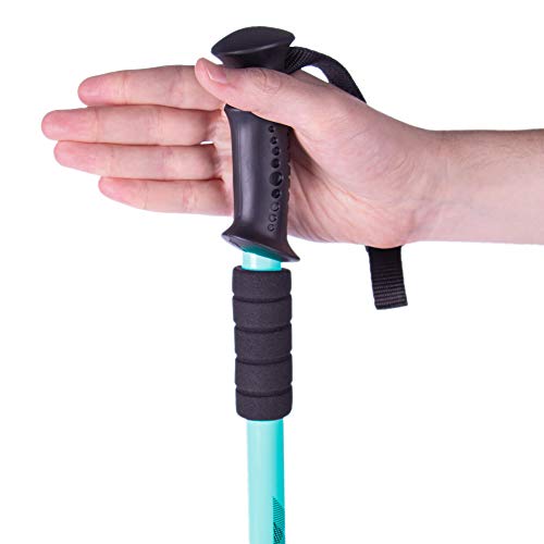 Aluminum Trekking Pole and Walking Staff P5101