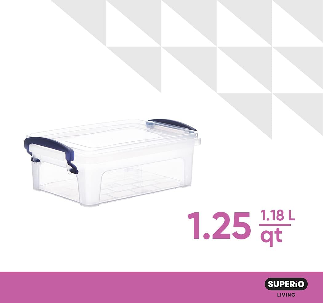 Clear Plastic Storage Bins with Lids F5149