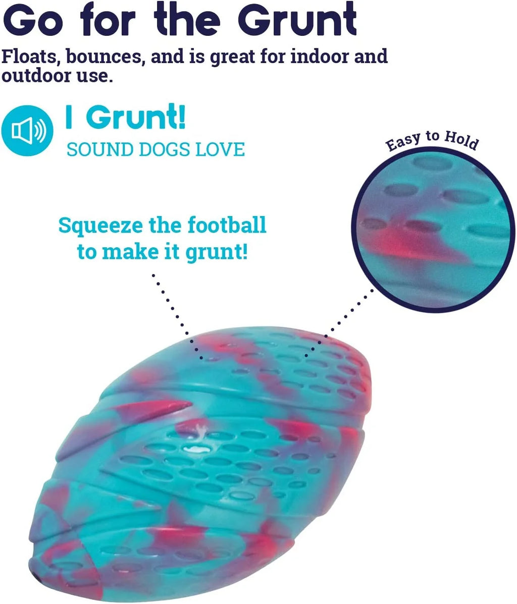 Football Dog Toy K567345
