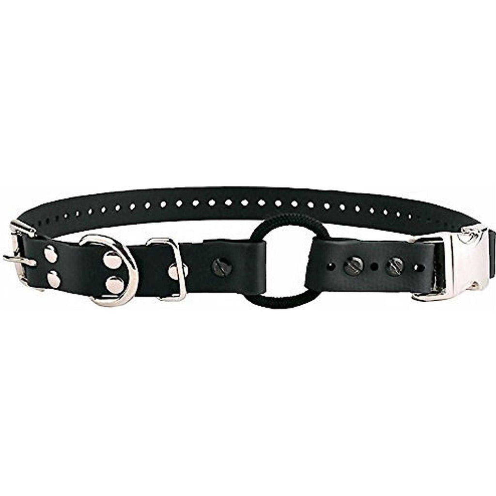 Bungee Collar J3954