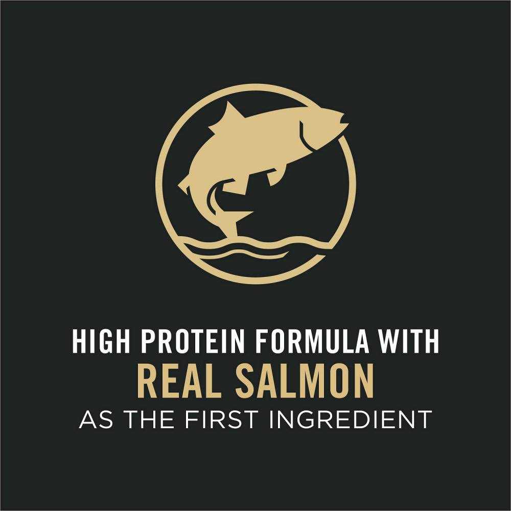 Salmon & Rice Formula Dry Cat Food M6609