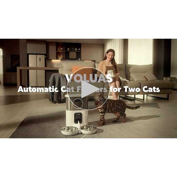 Automatic Cat Feeder with 2 Stainless Steel Bowls S962137