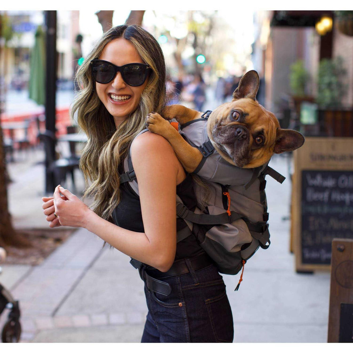 Pet Supplies P3359