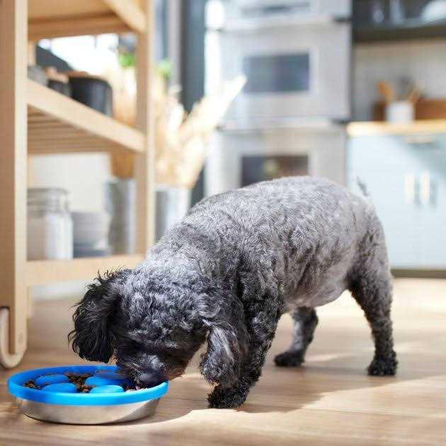 Silicone Stainless Steel Slow Feeder Dog & Cat Bowl L62551