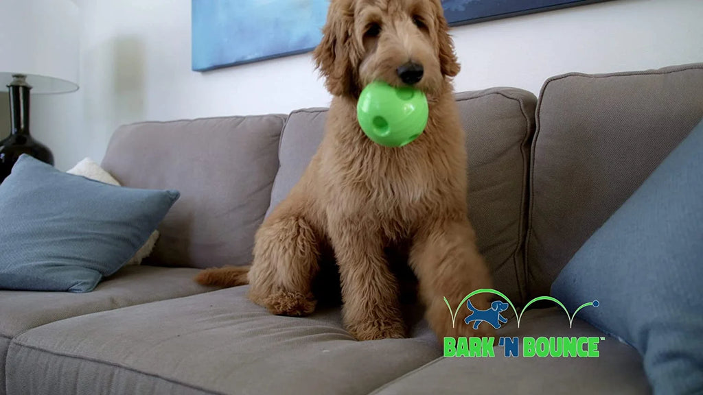 Interactive Dog Toy Ball (Small/Medium) Z244