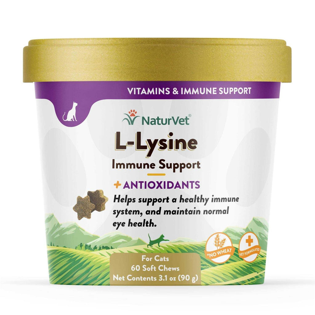 L-Lysine Immune Support Plus Antioxidants X1121