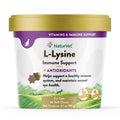 L-Lysine Immune Support Plus Antioxidants X1121