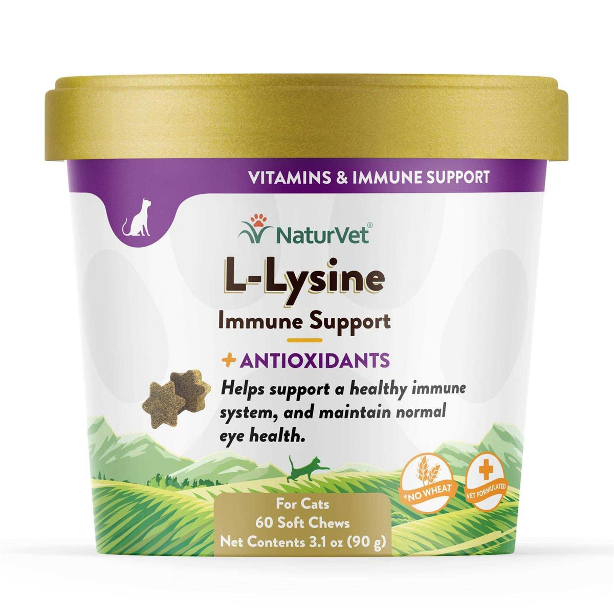 L-Lysine Immune Support Plus Antioxidants X1121