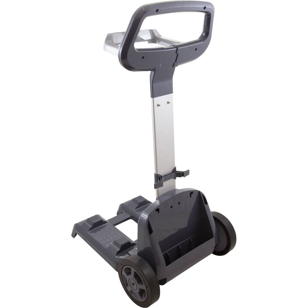 Pool Cleaner Q529875