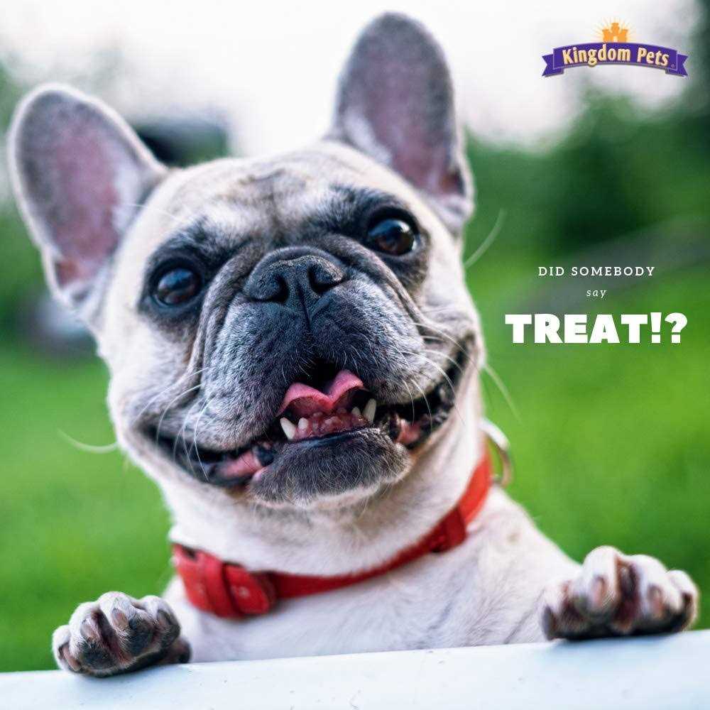 Duck & Sweet Potato Jerky Twists Q827