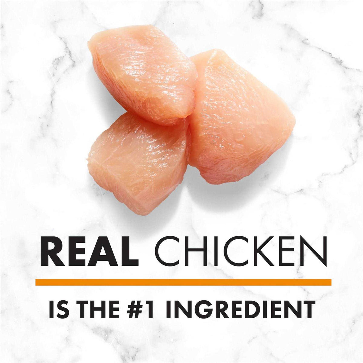 Chicken & Brown Rice Senior Dry Dog Food H2653