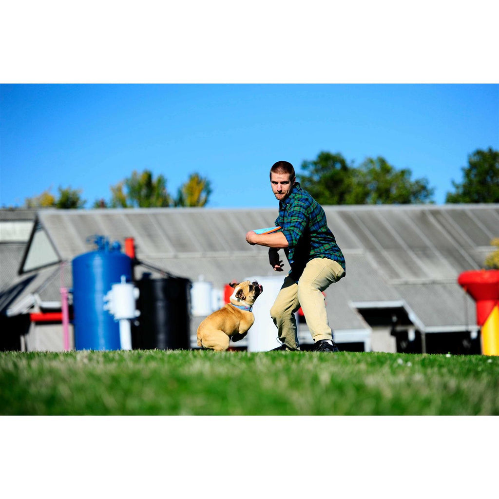 Dog Toy U4195