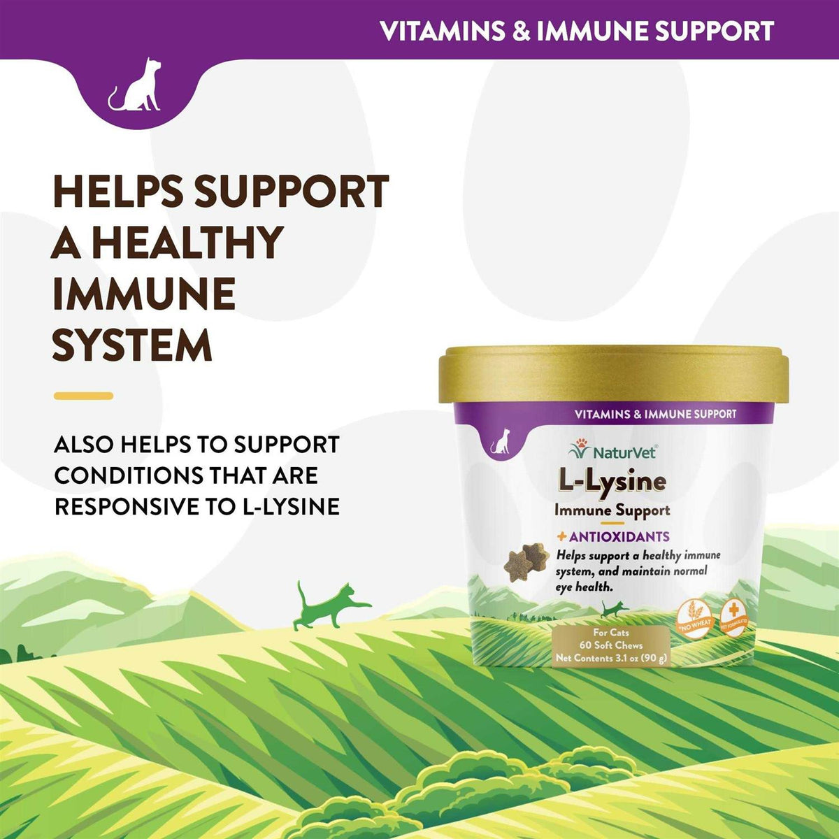 L-Lysine Immune Support Plus Antioxidants X1121