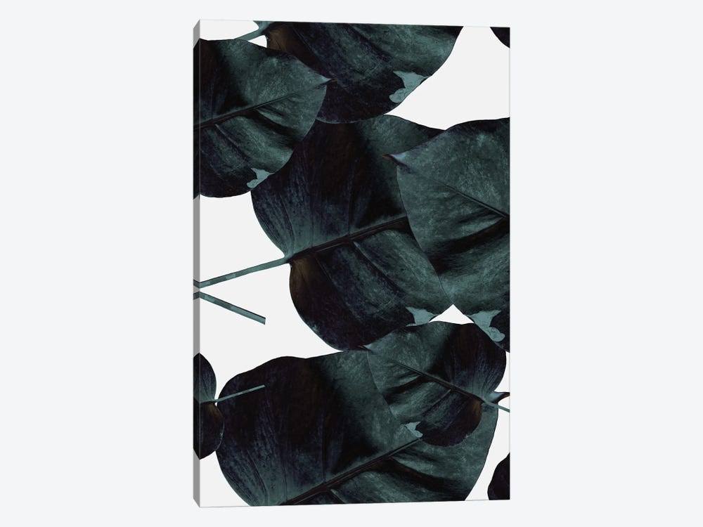Canvas Wall Decor Prints T74978