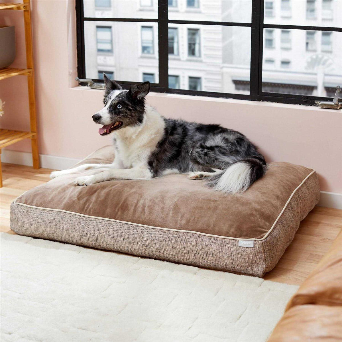 Plush Orthopedic Dog Bed with Removable Cover L5679
