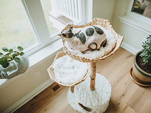 Cat Tree Tower M4272