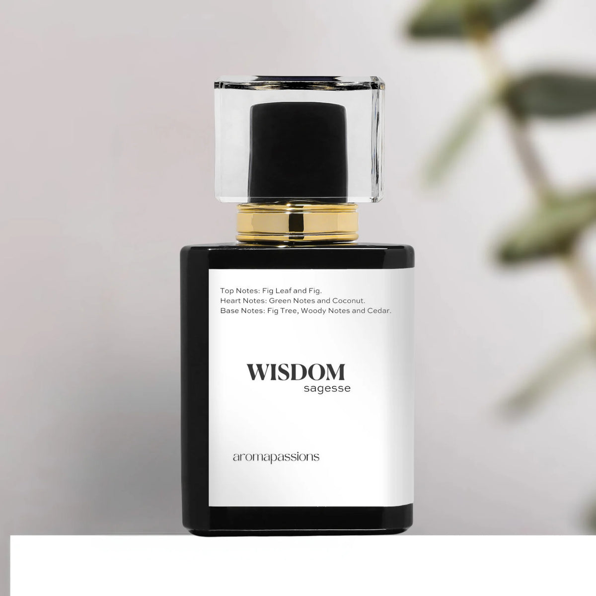 Pheromone Perfume for Men and Women Extrait De Parfum P968