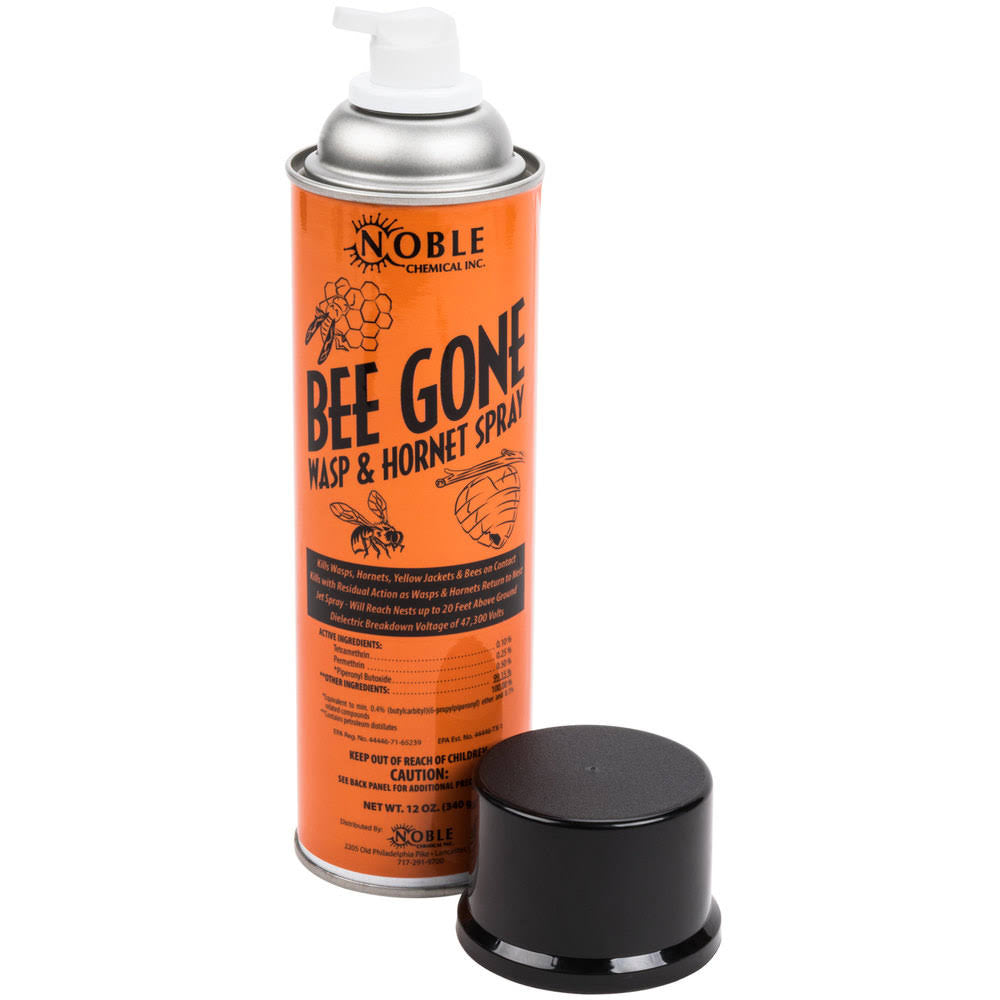 12 oz Wasp & Hornet Spray D595
