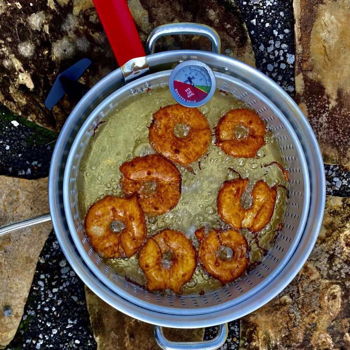Outdoor Aluminum Fish Cooker E433