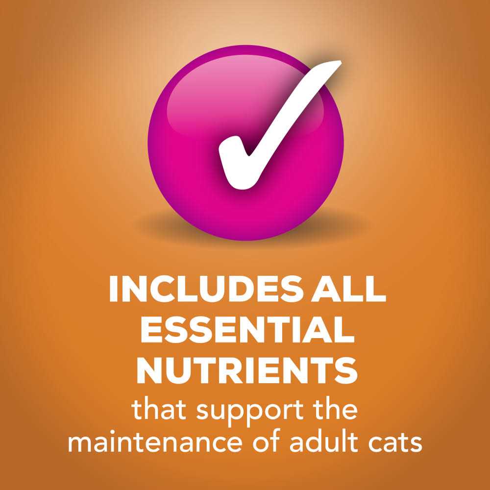 Chicken Pate Canned Cat Food O7706