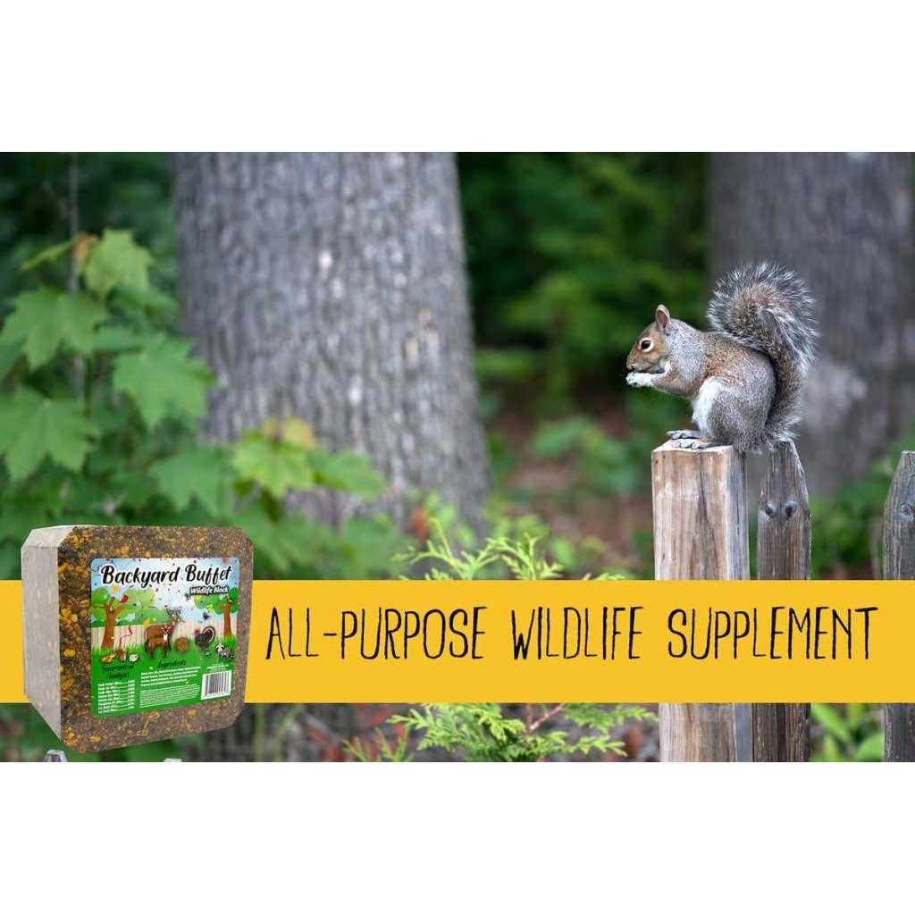 Backyard Buffet Wildlife Treat W5221