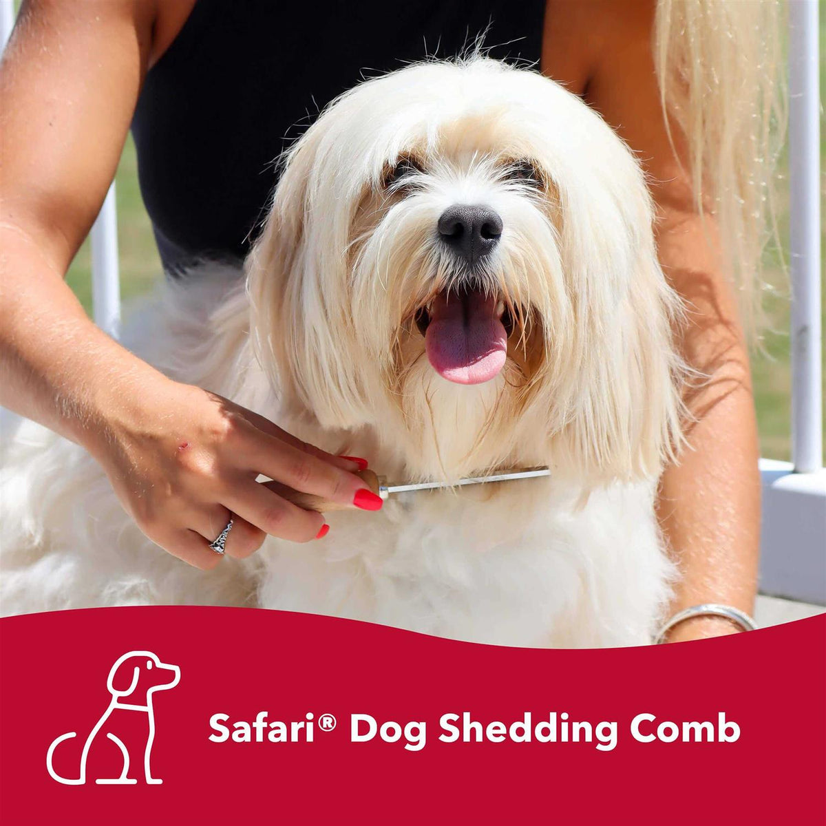 Safari Dog Shedding Comb N625
