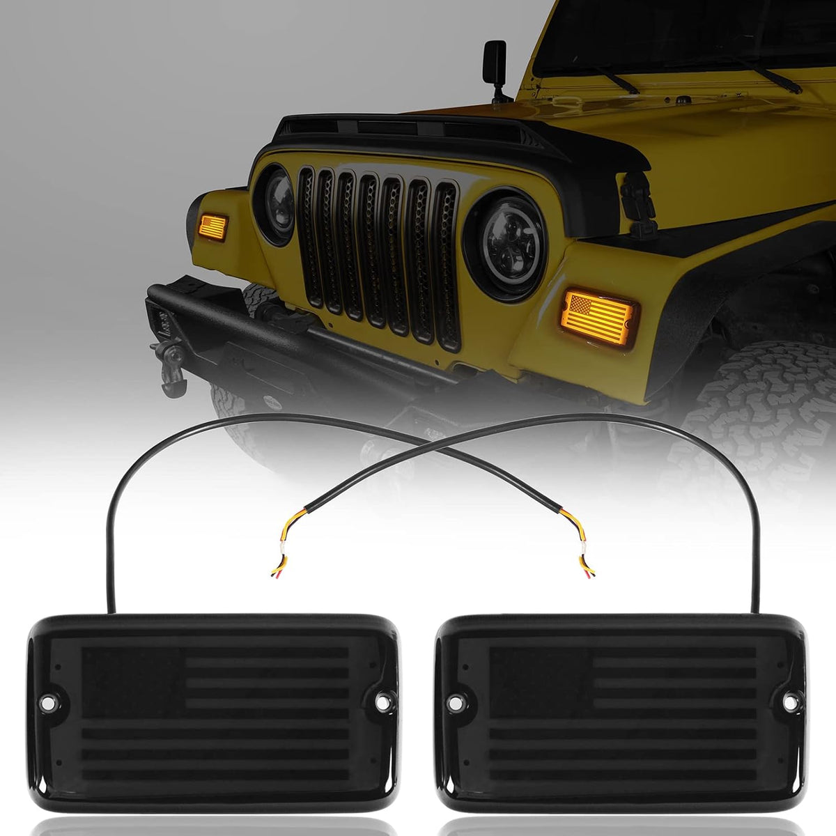 LED Turn Signal Lights Pack of 2 R861433