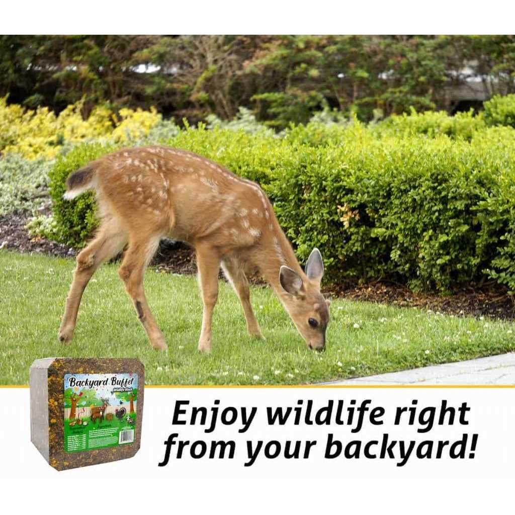 Backyard Buffet Wildlife Treat W5221