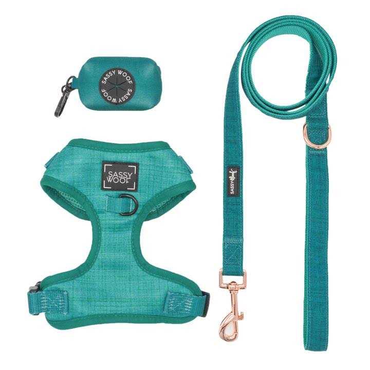 Adjustable Harness Z750