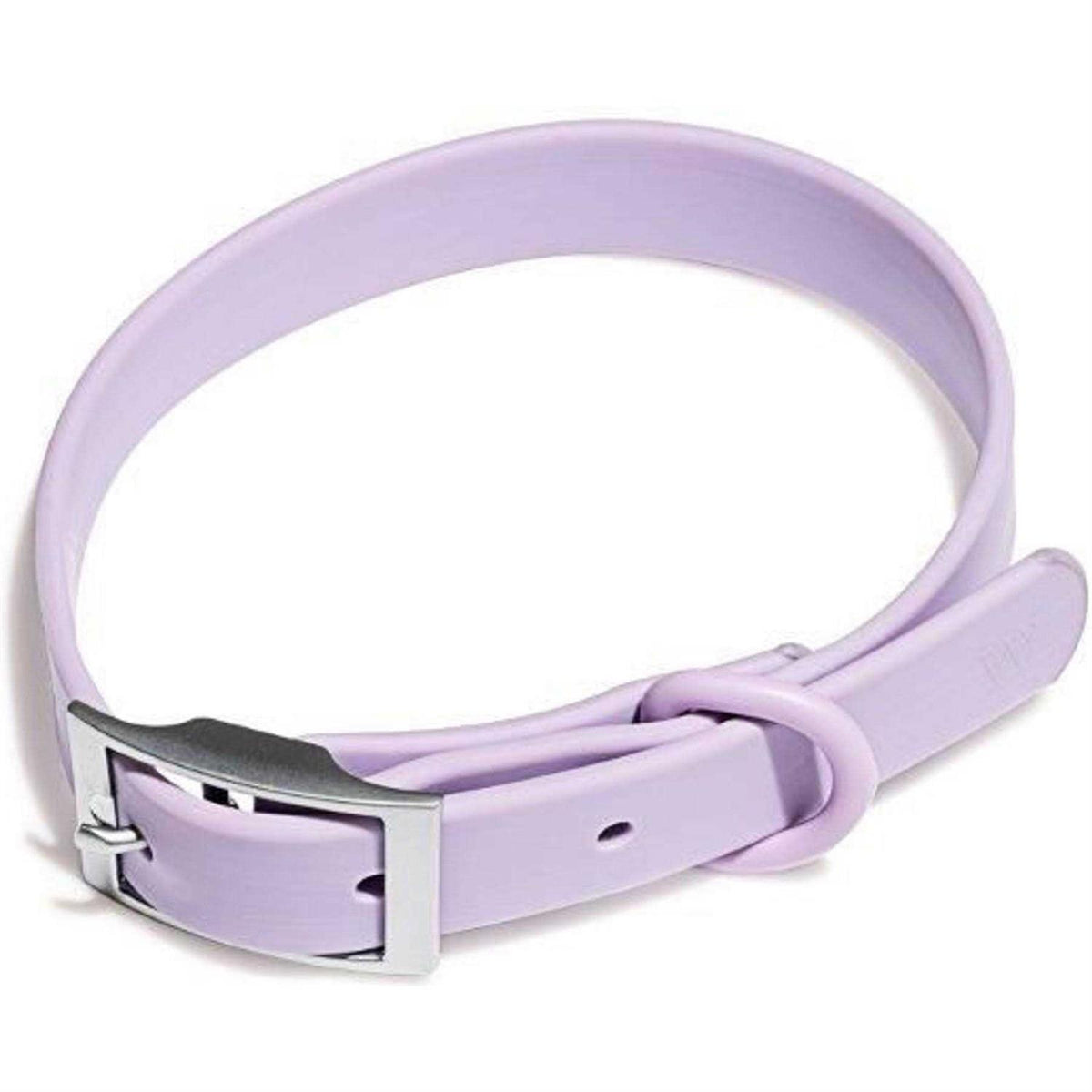 Dog Collar V54743