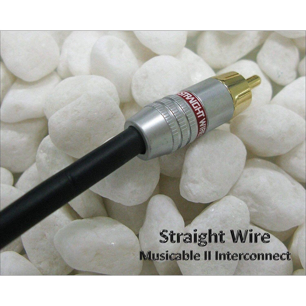 RCA Interconnect Cable 4.0 Meter Pair R458