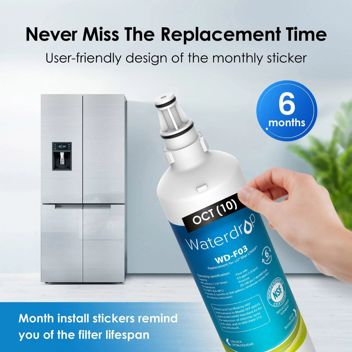 Refrigerator Water Filter, 2 Filters G71255
