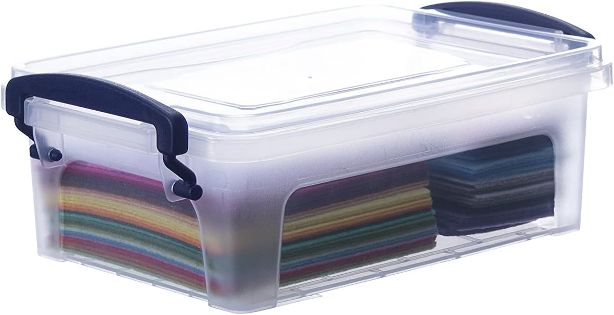 Clear Plastic Storage Bins with Lids F5149