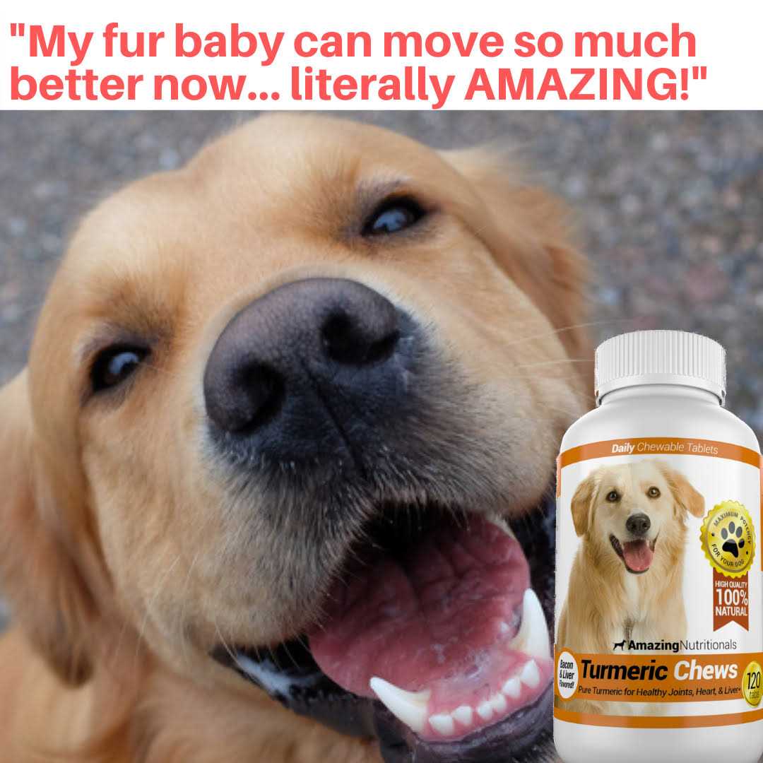 Turmeric Curcumin Pet Antioxidant M4617