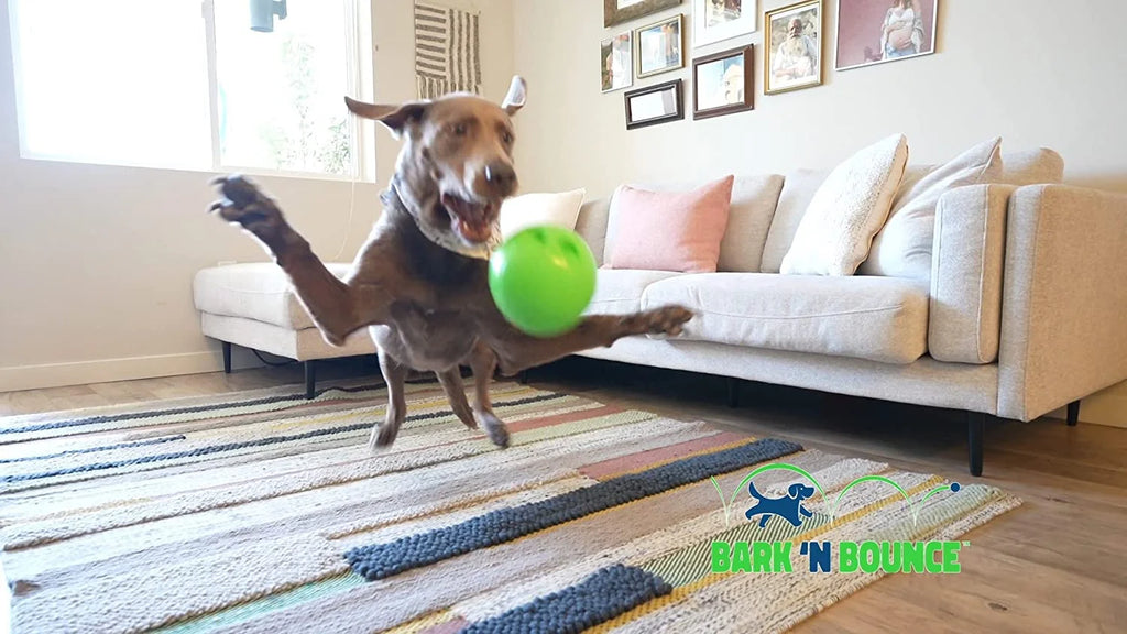 Interactive Dog Toy Ball (Small/Medium) Z244