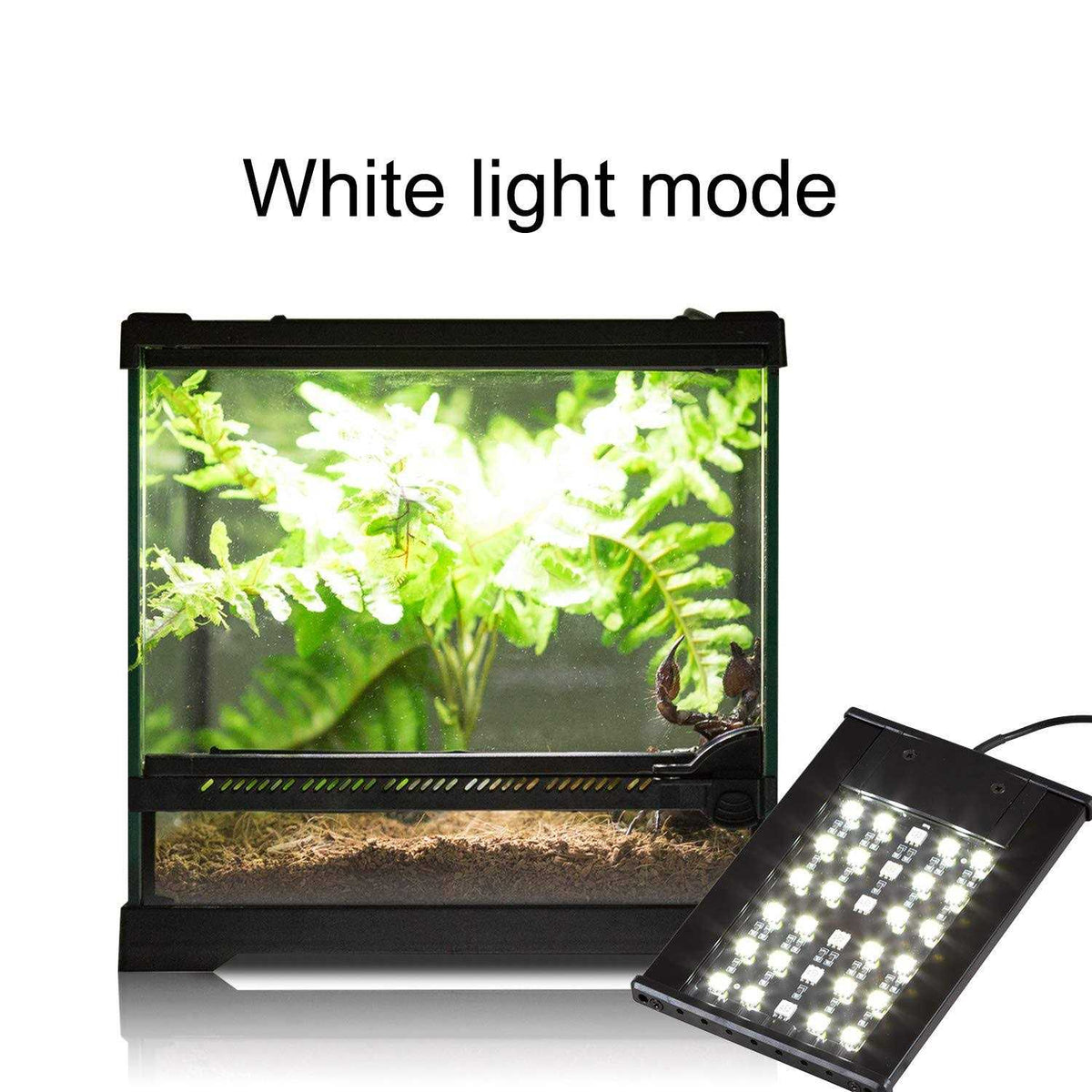 Reptile LED Light Hood J152386