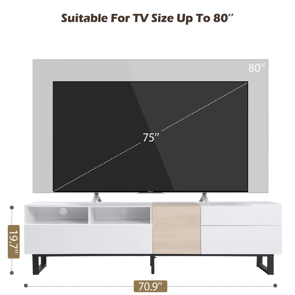 Modern TV Stand with Double Storage Space B498751