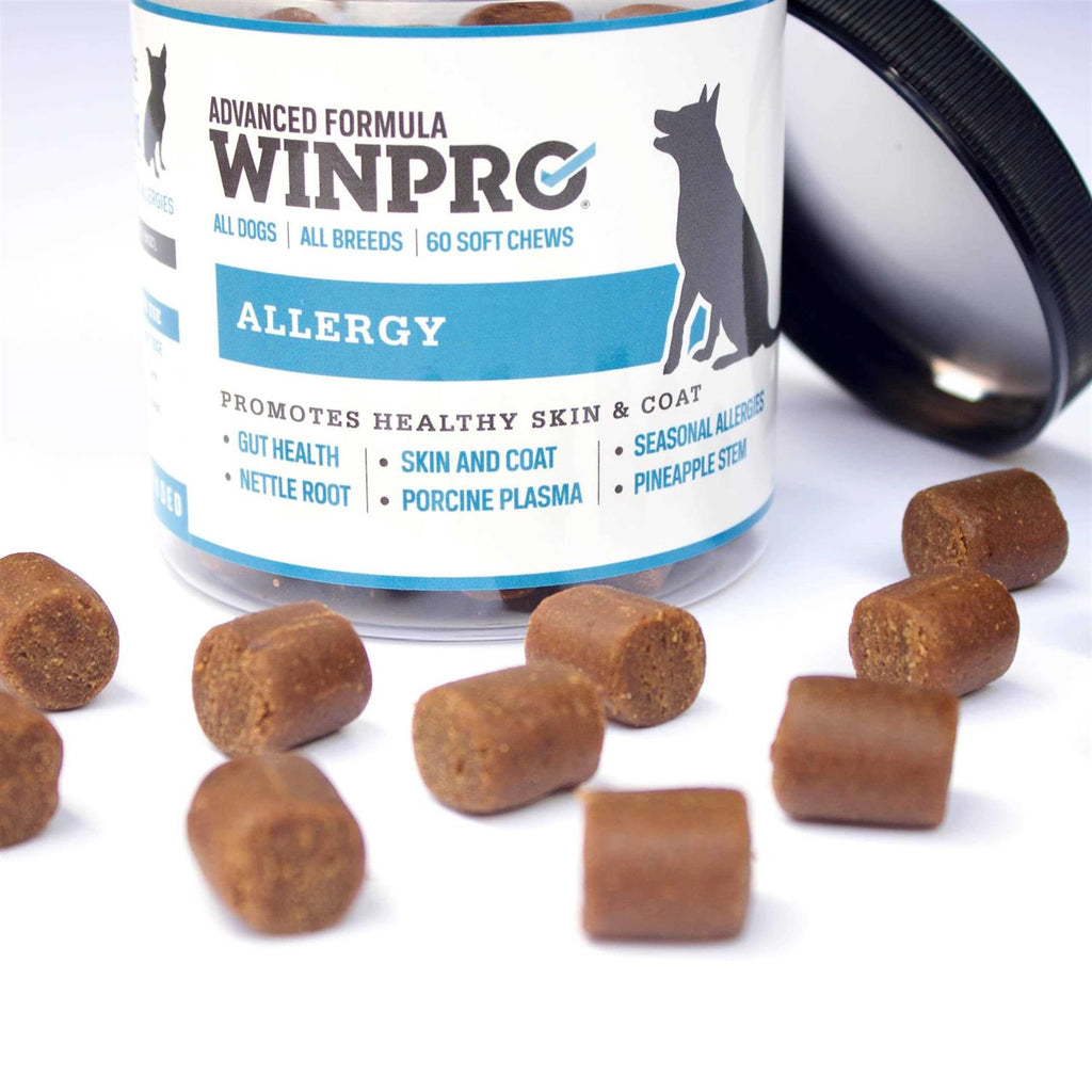 Soft Chew Dog Supplement T175901
