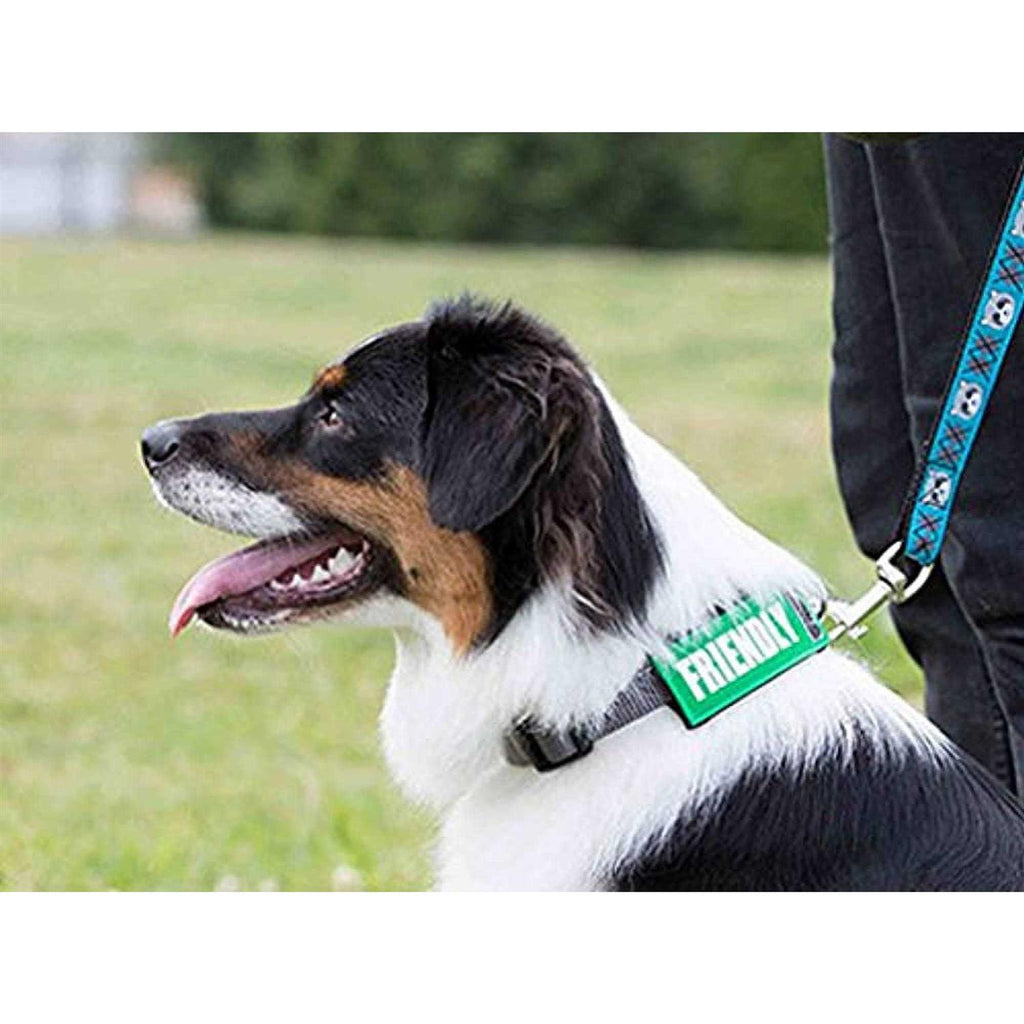Dog Collar and Leash F15540